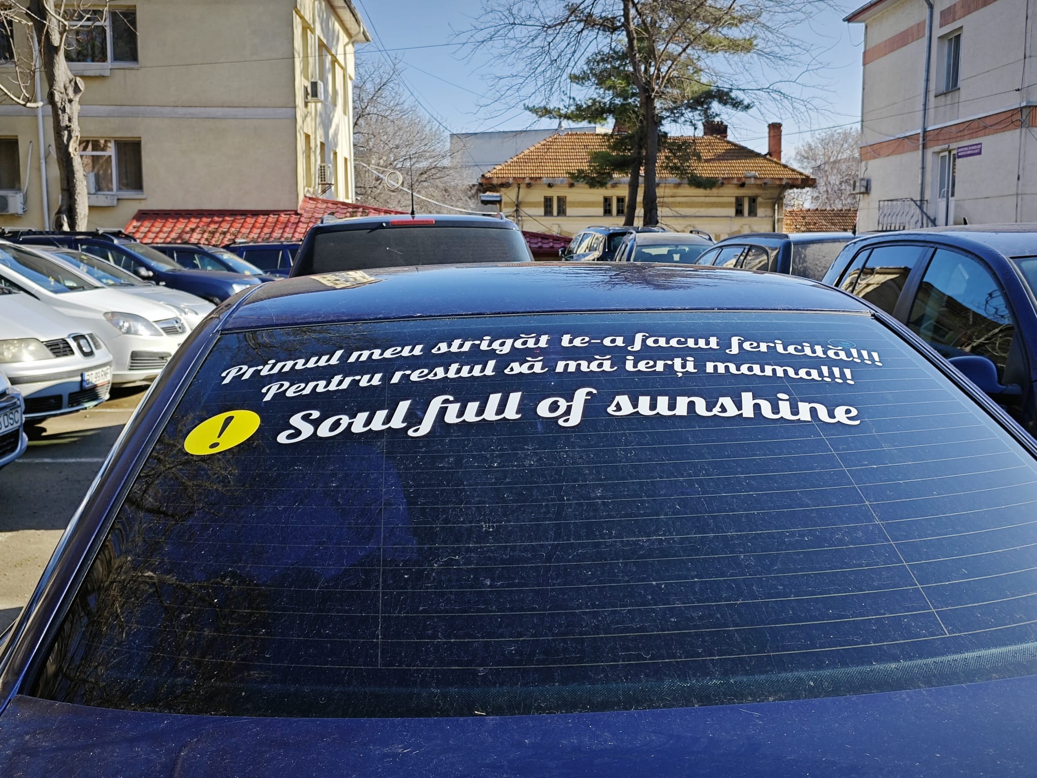 Poza zilei 21 martie 2024 