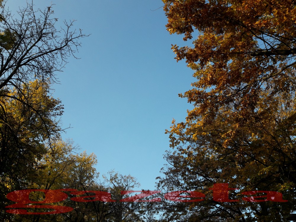 Vreme neobișnuit de caldă la Botoșani: ce anunță meteorologii pentru următoarea lună