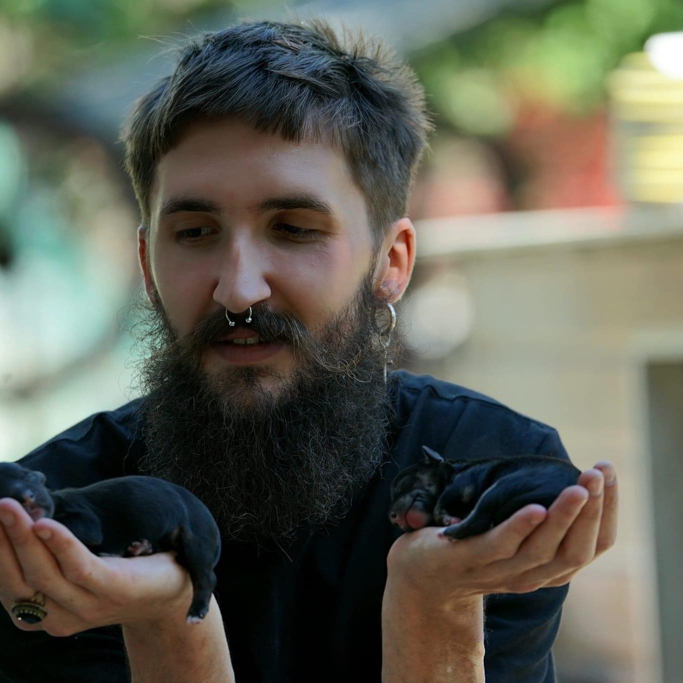 Declarația zilei 15 iulie 2024 