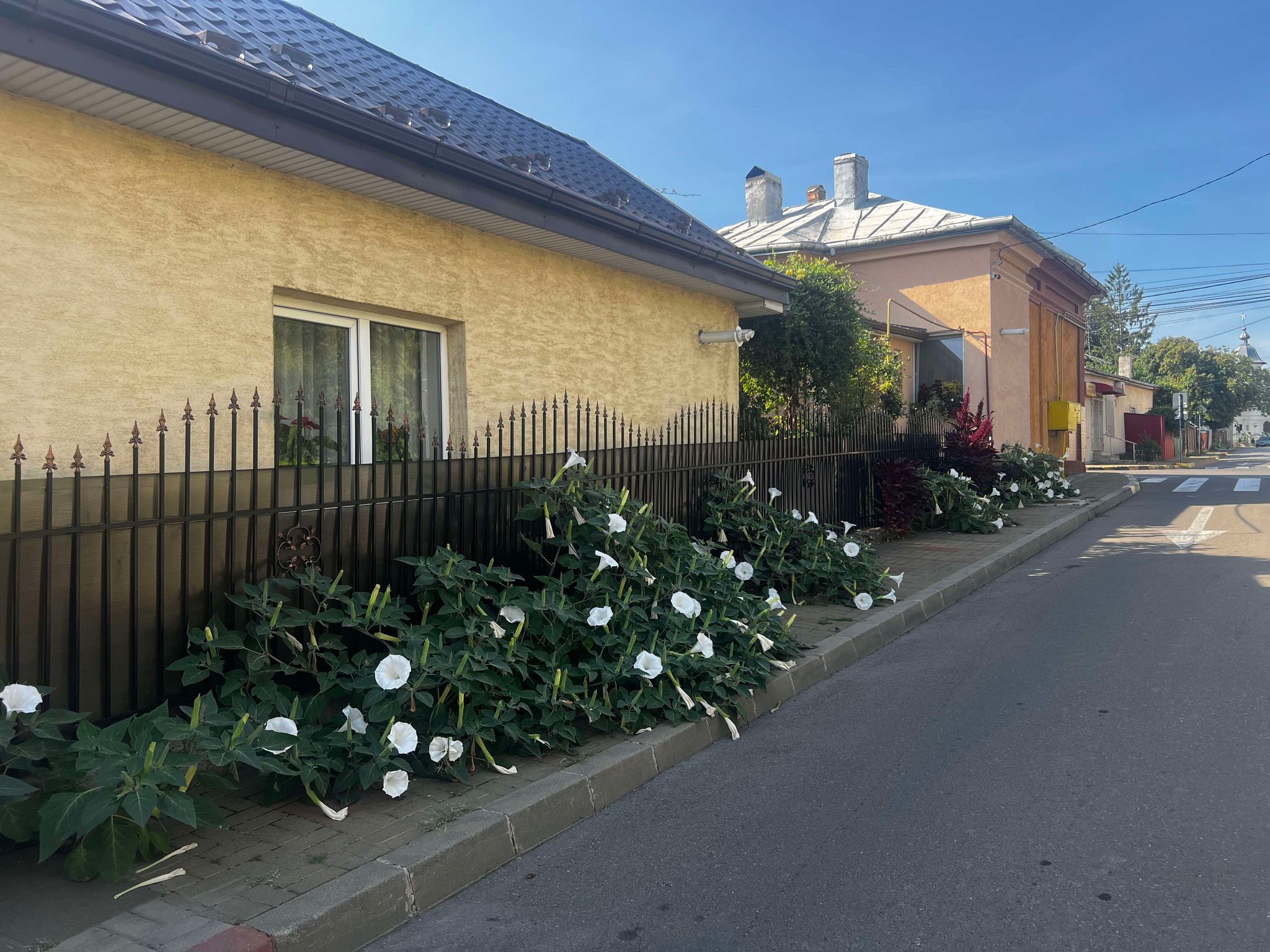 Poza zilei 30 august 2024 