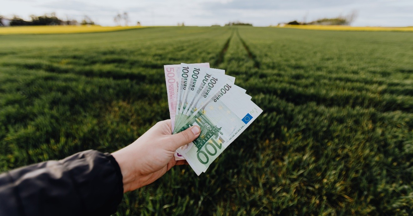 Viitor financiar stabil: 4 pași simpli