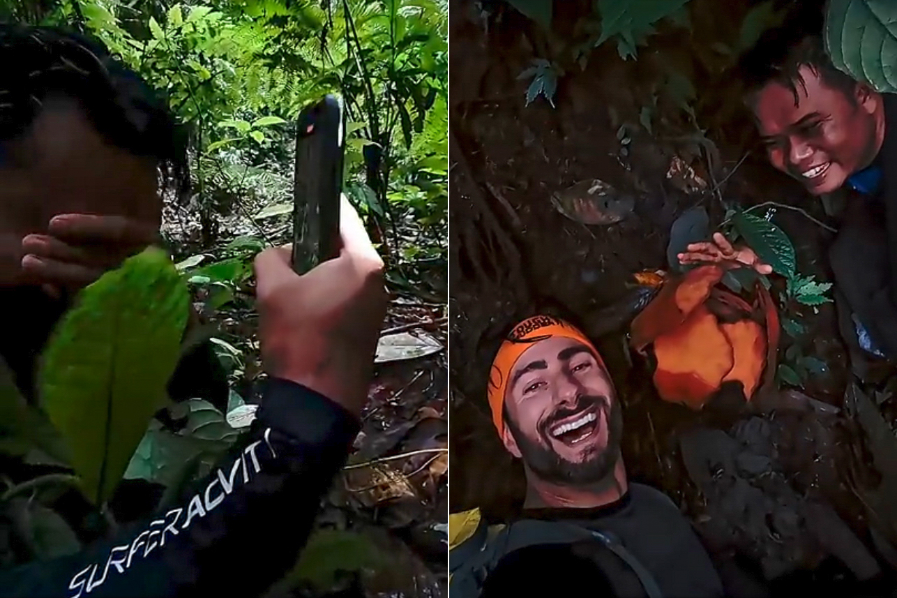 Descoperire uluitoare în junglă! Un cercetător, în lacrimi de bucurie