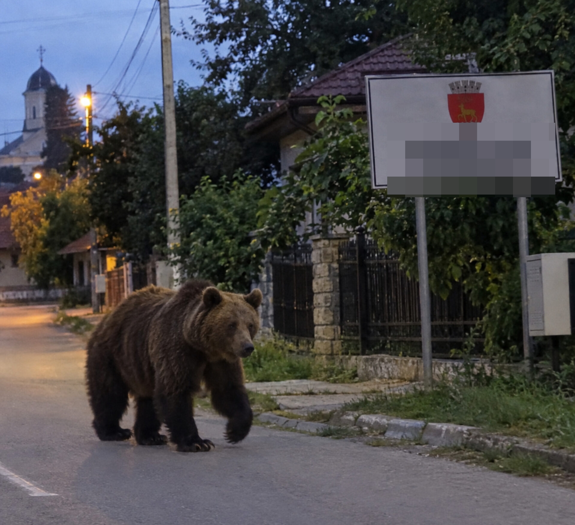 ALERTĂ la vecini: Urs semnalat în două localități, s-au trimis mesaje RO-ALERT și patrule în zonă