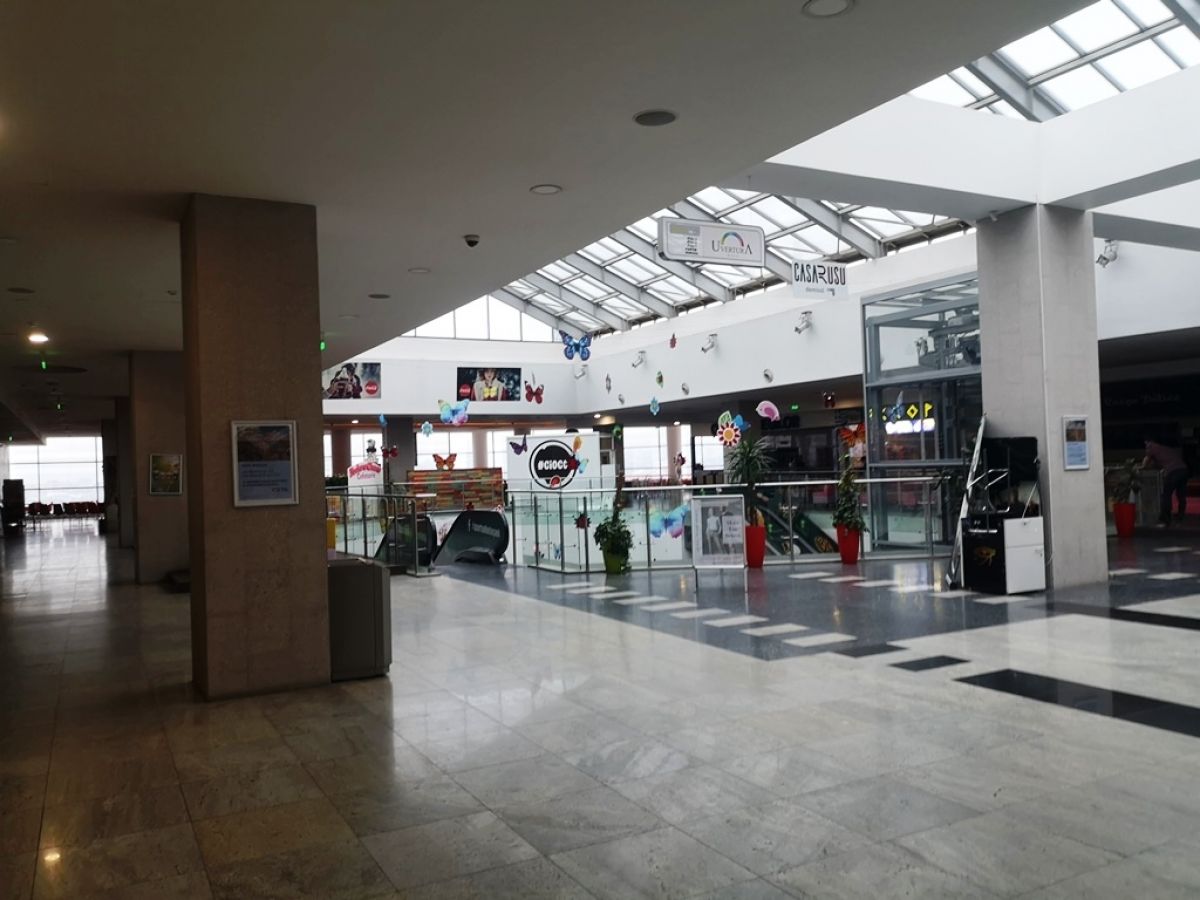 Piedone a cerut deratizare și dezinsecție în toate mall-urile