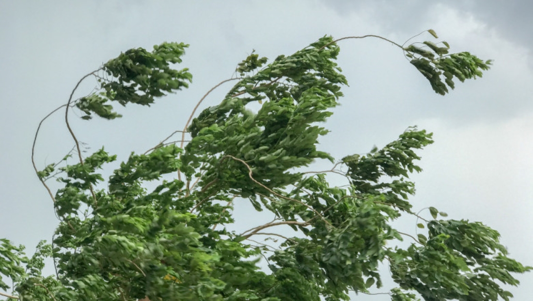 COD GALEBEN de vânt emis la Botoșani: Pompierii sunt pregătiți să intervină