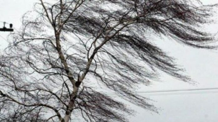 COD PORTOCALIU de vânt puternic anunțat la Botoșani, populația avertizată prin RO-ALERT 