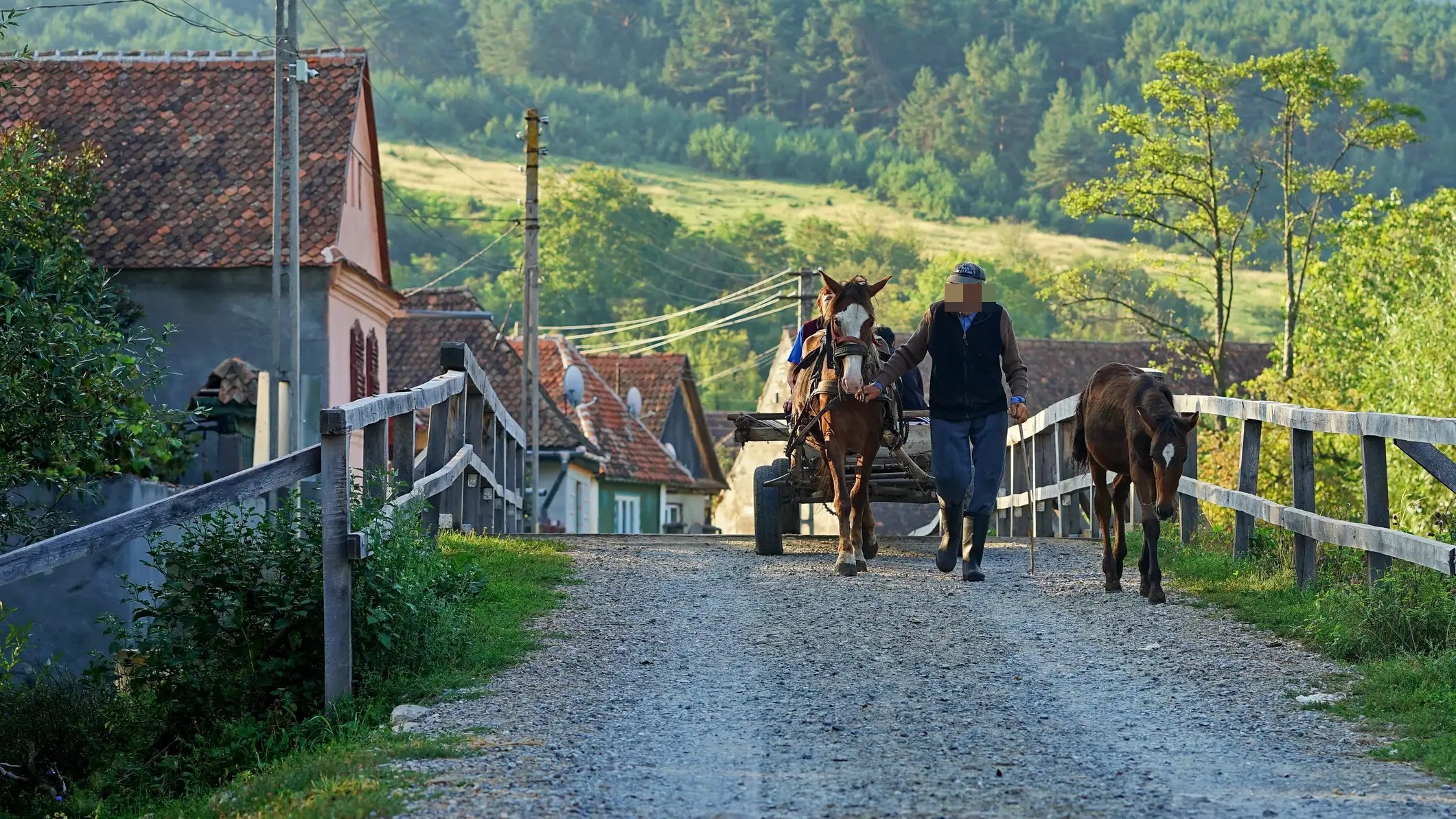 viata la tara.