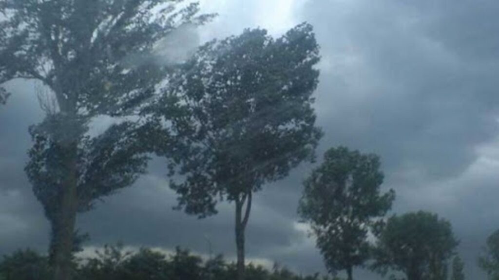 COD GALBEN de intensificări ale vântului în județul Botoșani