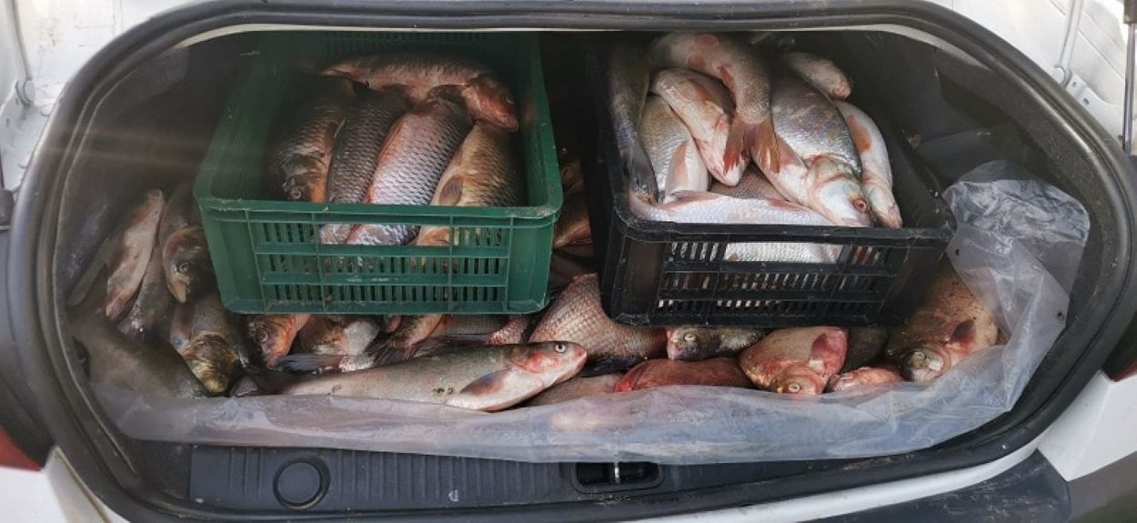 peste vandut la marginea drumului