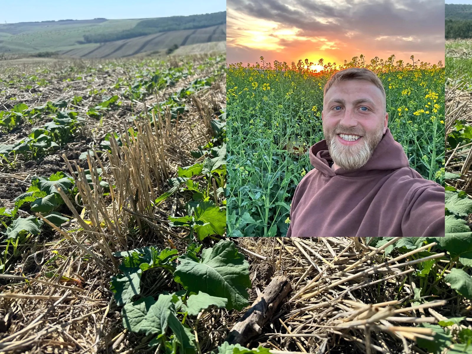 Fiul unui primar de Botoșani vrea să își facă fabrică de panificație și patiserie &amp; lanț de magazine