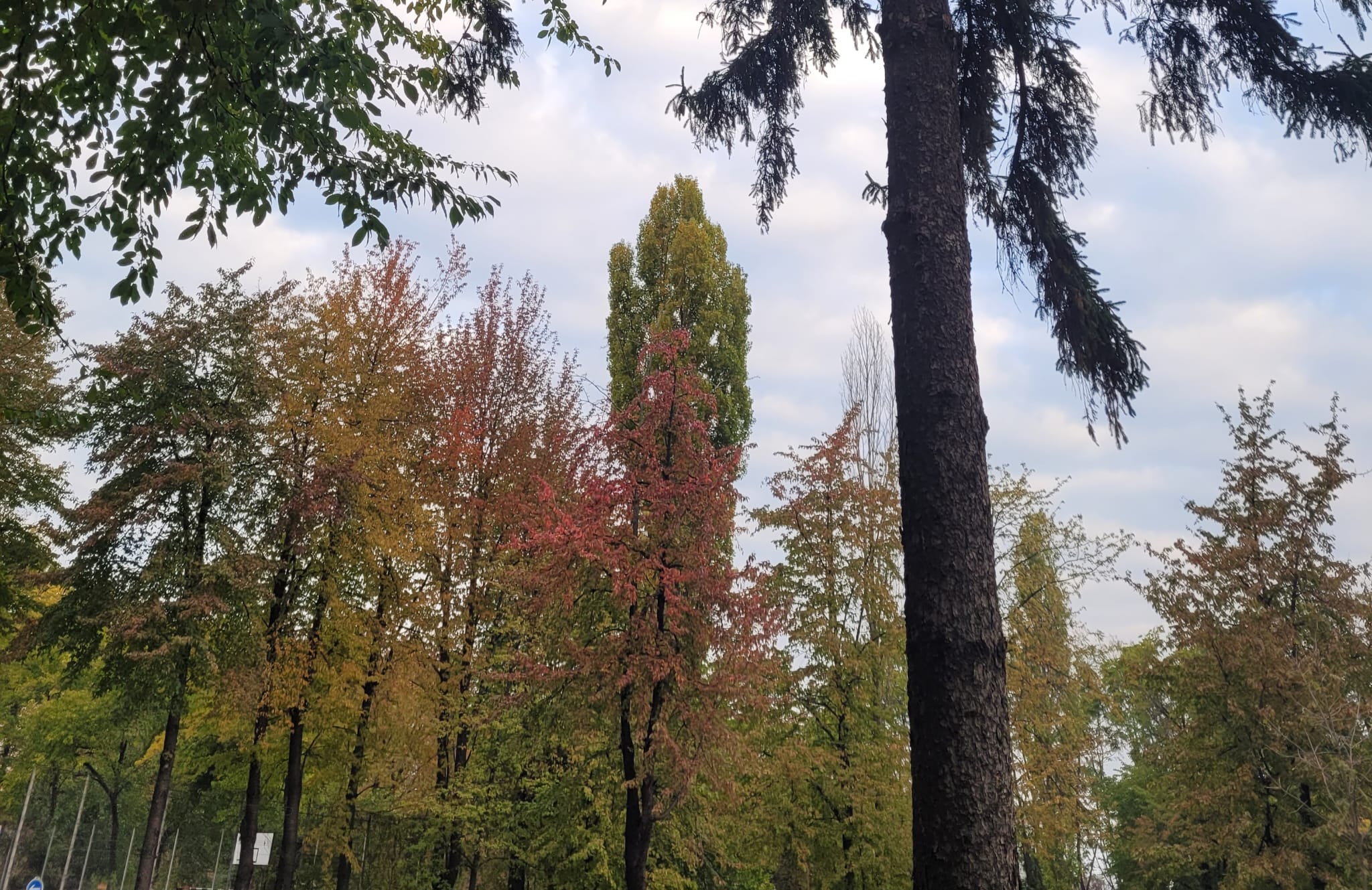 Se schimbă vremea: PROGNOZA meteo actualizată pentru următoarele patru săptămâni