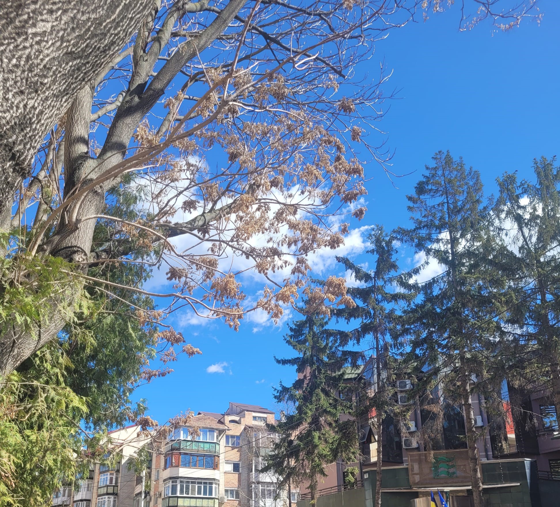 ANM anunță temperaturi atipice: PROGNOZA meteo actualizată