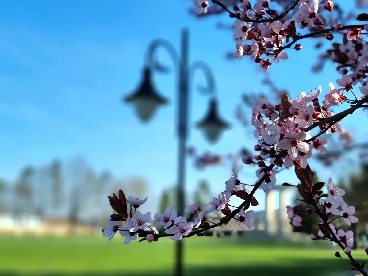 Vreme surprinzătoare de Florii și Paște: prognoza ANM pentru Botoșani și Moldova