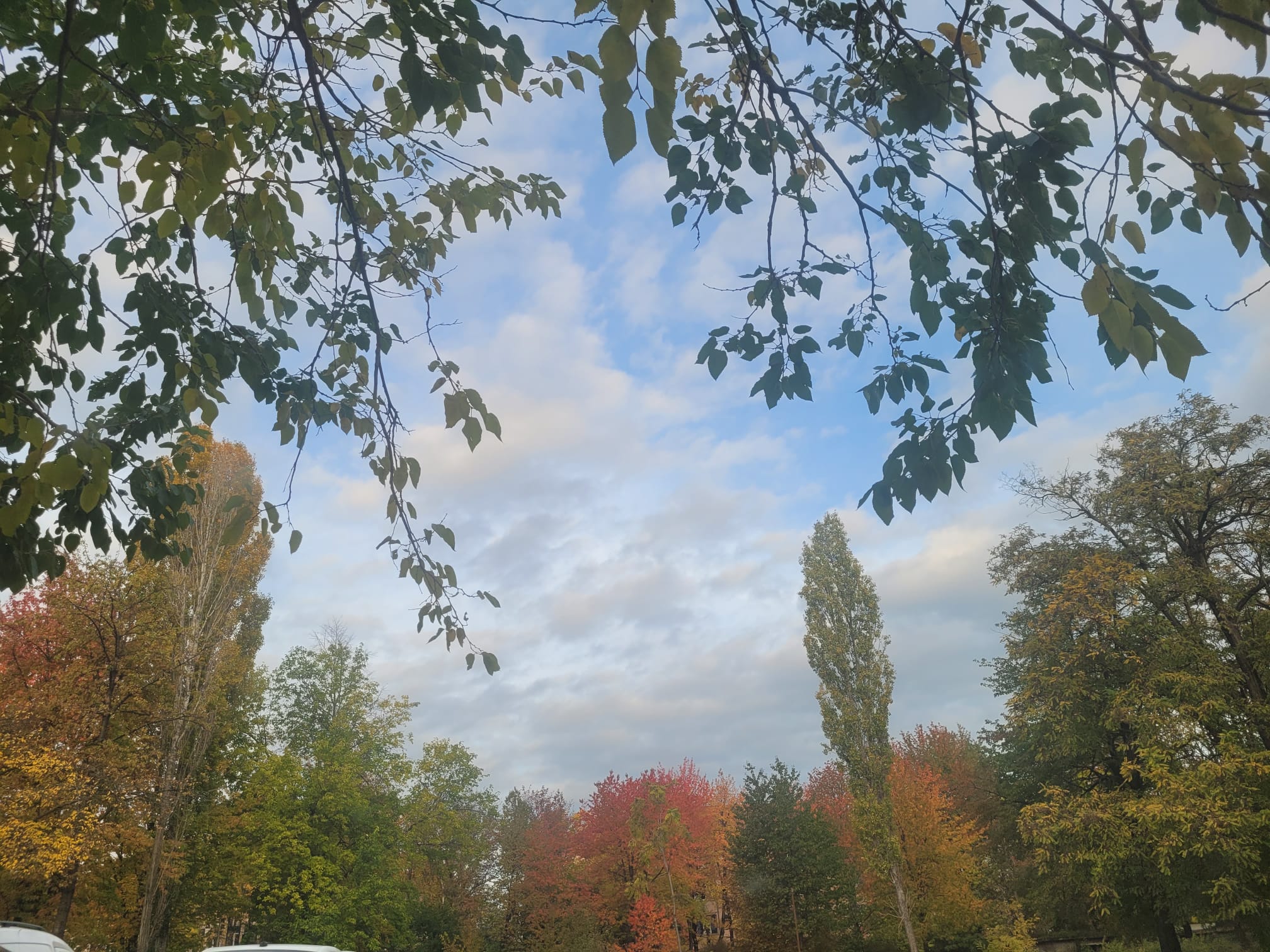 Se răcește vremea: PROGNOZA meteo pentru luna noiembrie