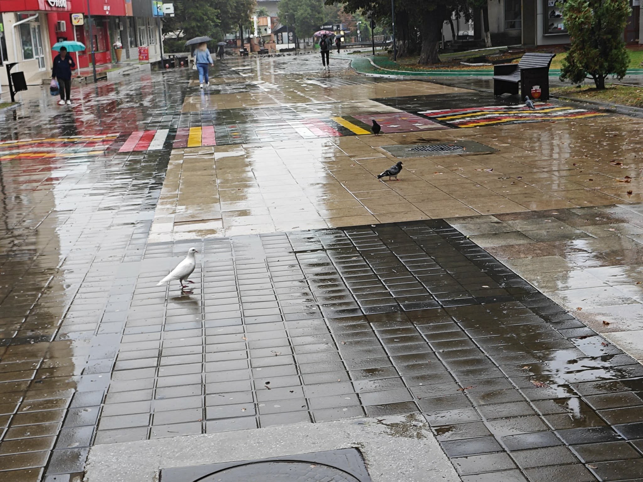 Ploi și vijelii anunțate de meteorologi – PROGNOZA pe o lună