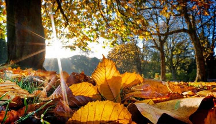 Vreme schimbătoare la Botoșani: temperaturi ridicate urmate de răcire și ploi în următoarele două săptămâni