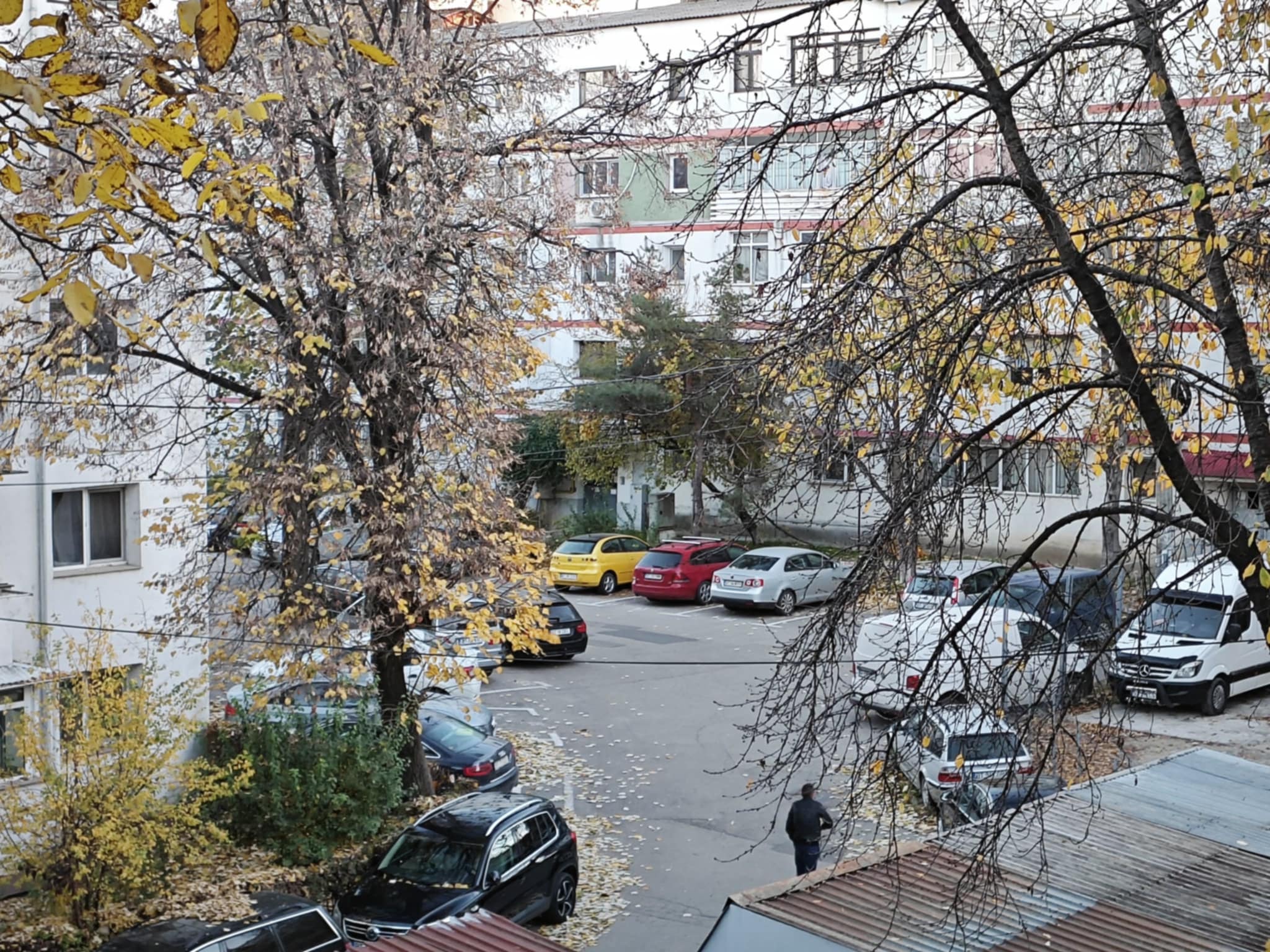 Frig astăzi în toată țara: CUM va fi vremea săptămâna viitoare 