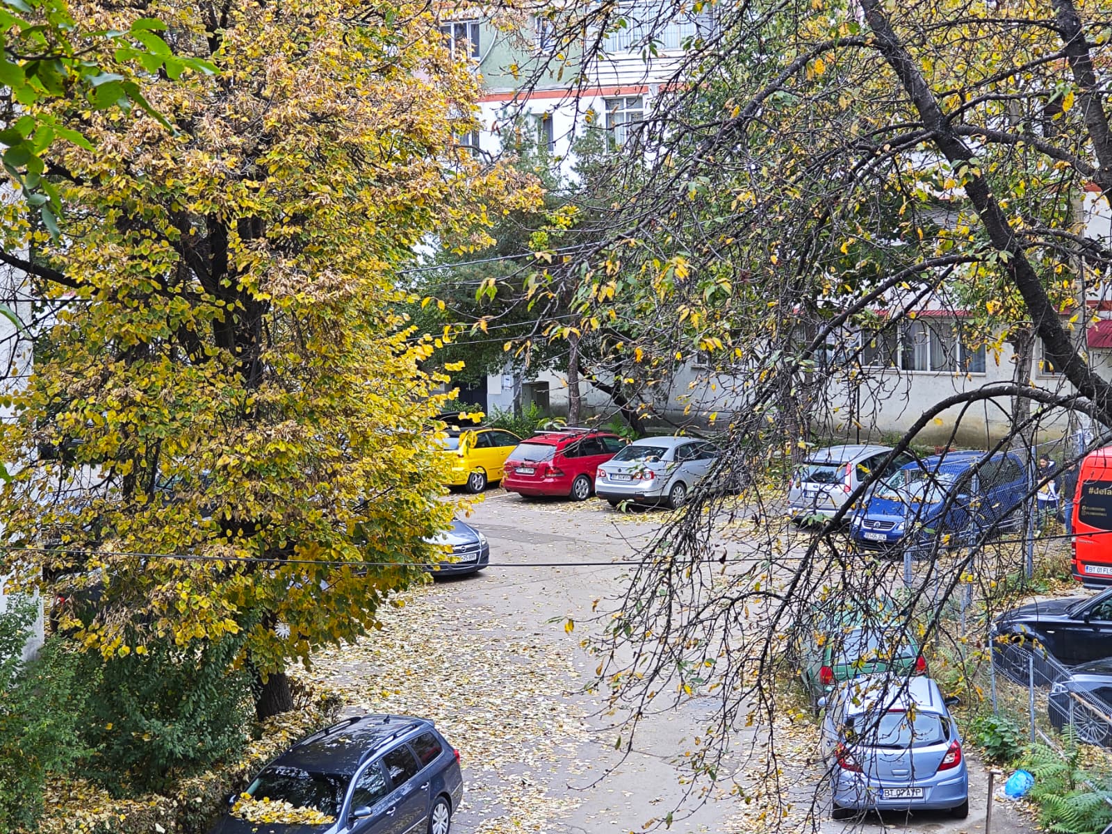 Alertă meteo: COD GALBEN emis la Botoșani pentru următoarele ore