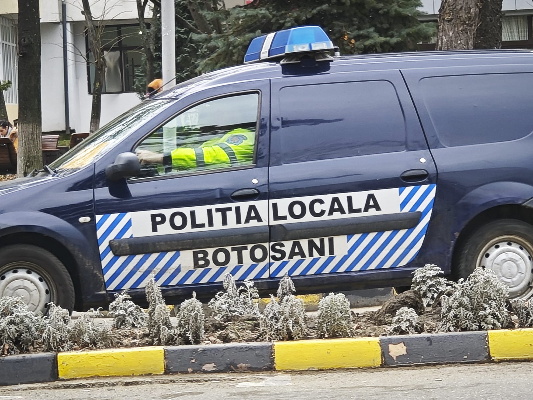Petrecere în parc: Grup amendat de polițiștii locali după ce s-au distrat „la voia întâmplării”