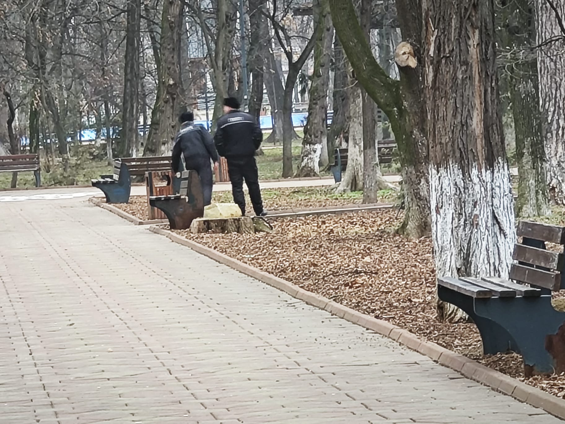 Pe propria lege: Doi oameni amendați de polițiștii locali după ce au fost prinși în „aburii alcoolului”