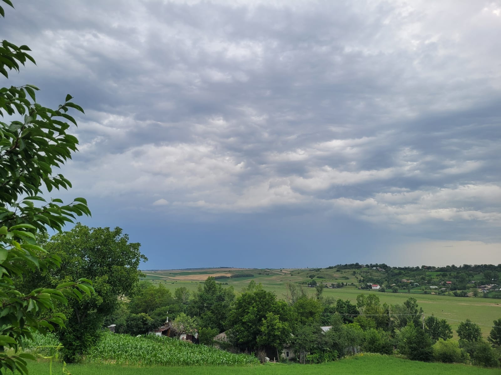 Județul Botoșani sub COD GALBEN de ploi torențiale, grindină și vijelii
