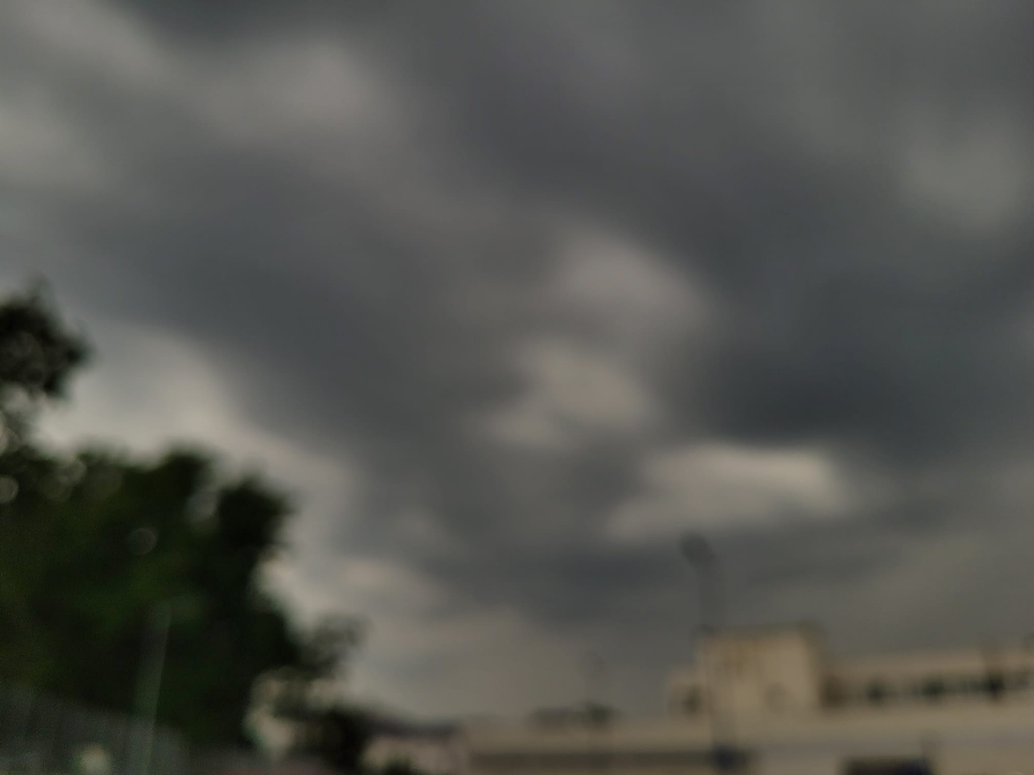 Alertă meteo: COD PORTOCALIU de ploi torențiale și vânt în mai multe localități din județ