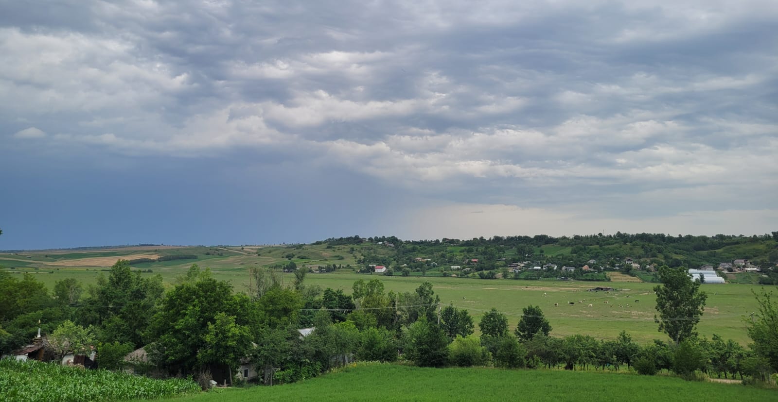 Vreme caniculară, dar și ploi anunțate de ANM: PROGNOZA meteo pentru următoarele patru săptămâni