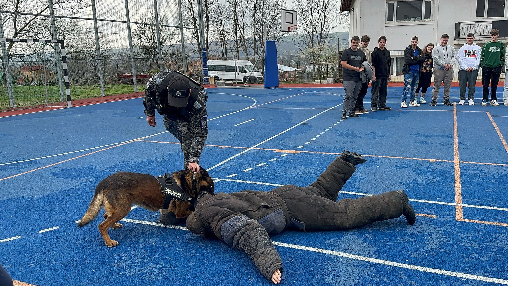 Demonstrații spectaculoase ale jandarmilor cu câini de serviciu și tehnică de intervenție la Săveni - VIDEO