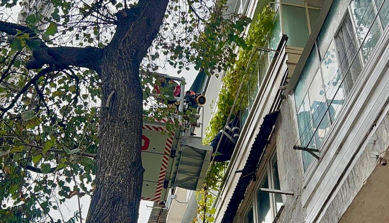 Poza zilei 24 octombrie 2025