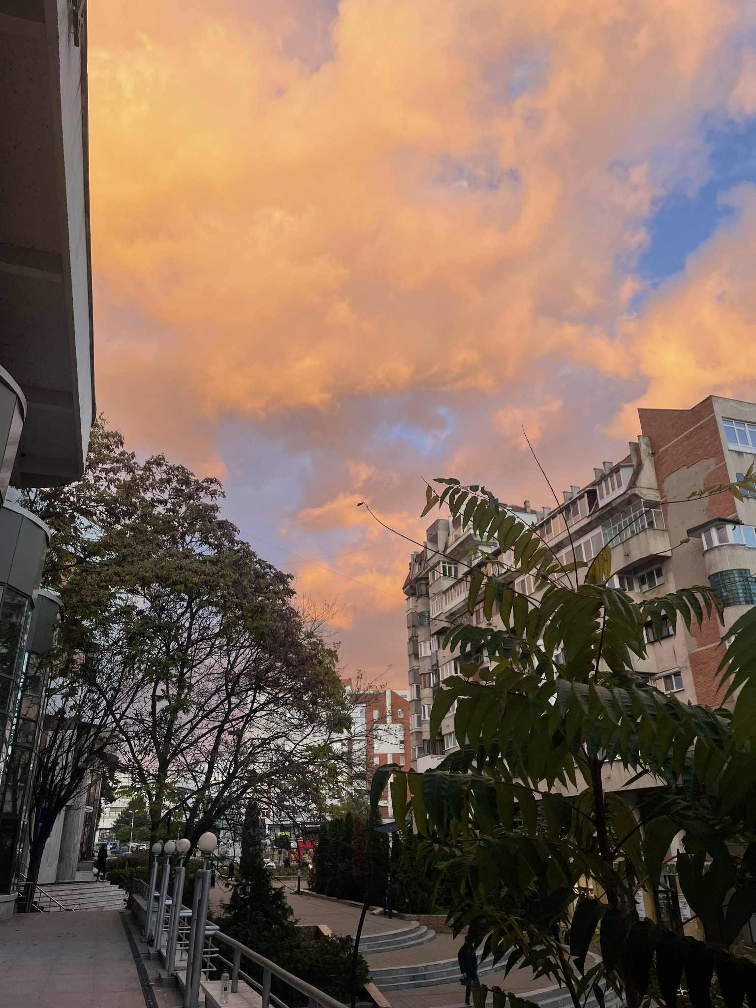 Poza zilei 31 octombrie 2025