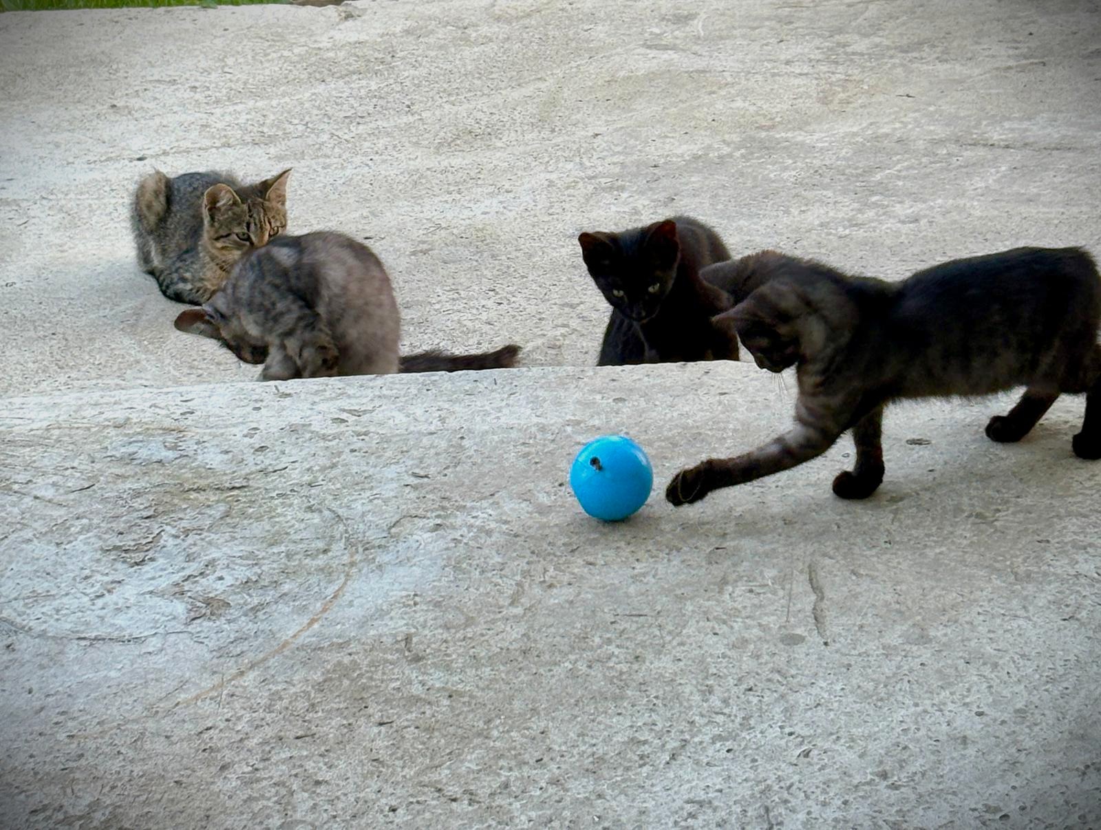 Poza zilei 30 octombrie 2025