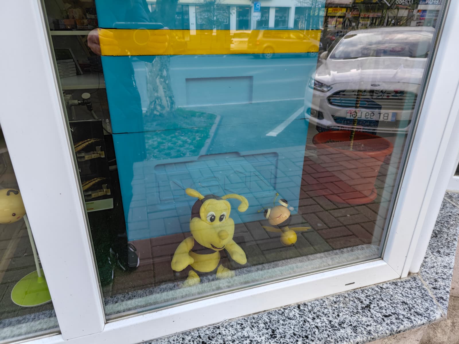 Poza zilei 6 noiembrie 2025