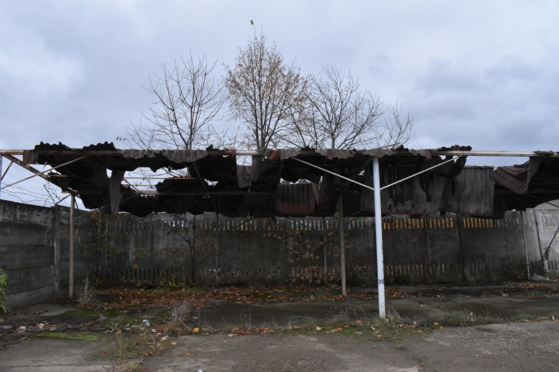 Poza zilei 5 noiembrie 2025