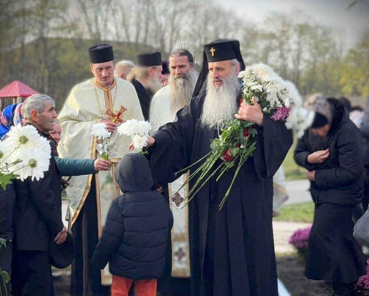 Poza zilei noiembrie 2025