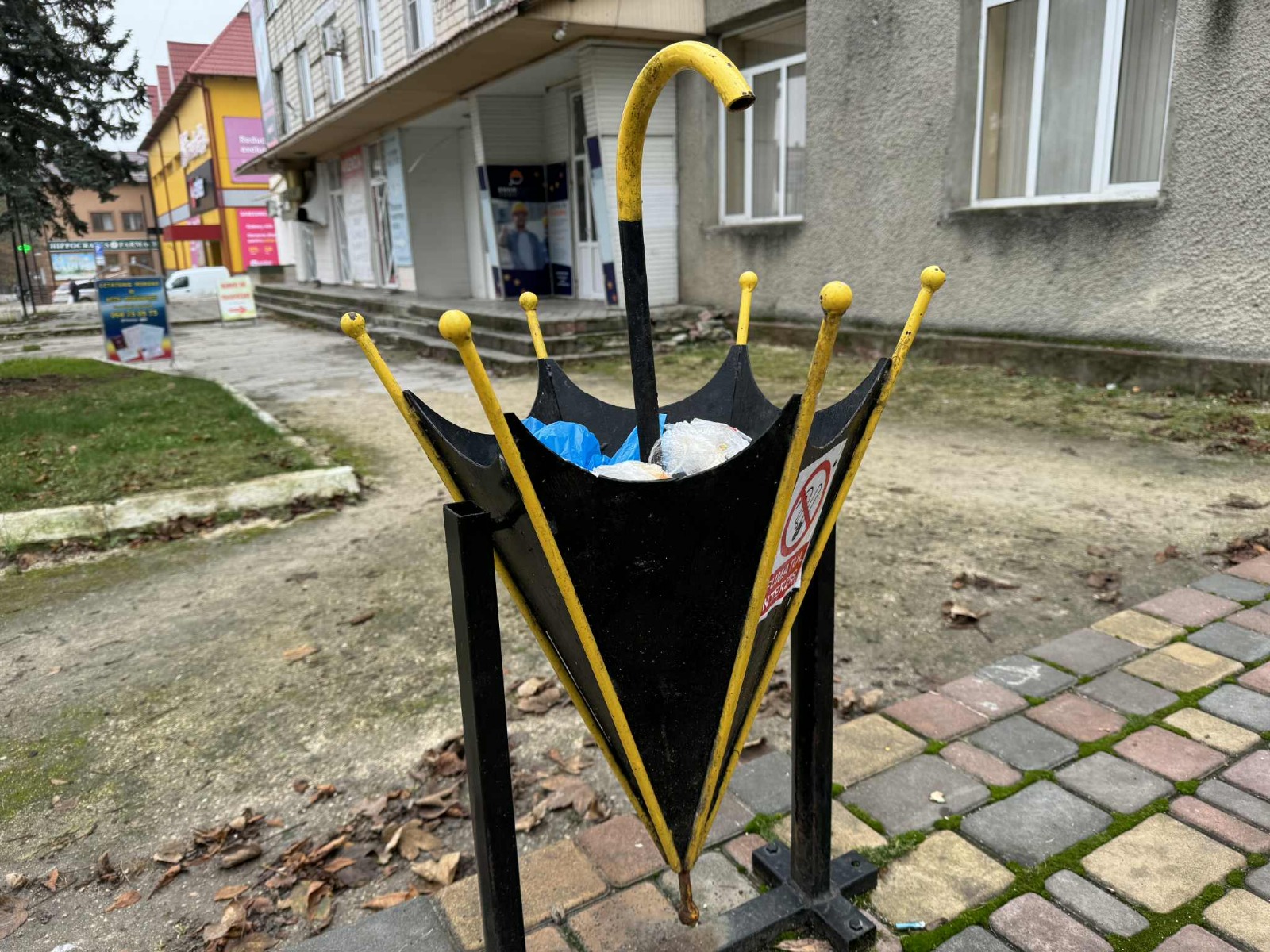 Poza zilei 18 noiembrie 2025