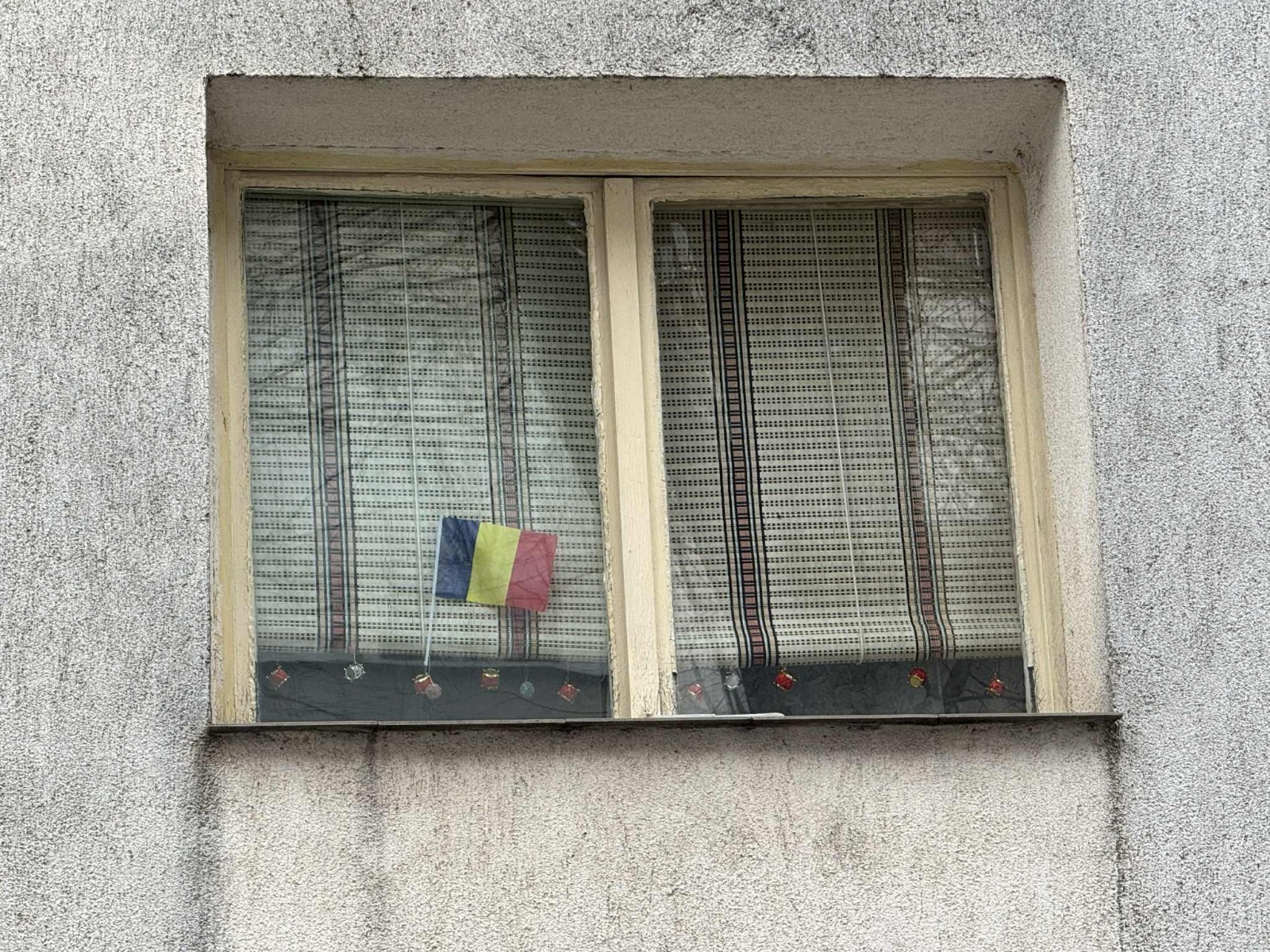 Poza zilei 5 decembrie 2025