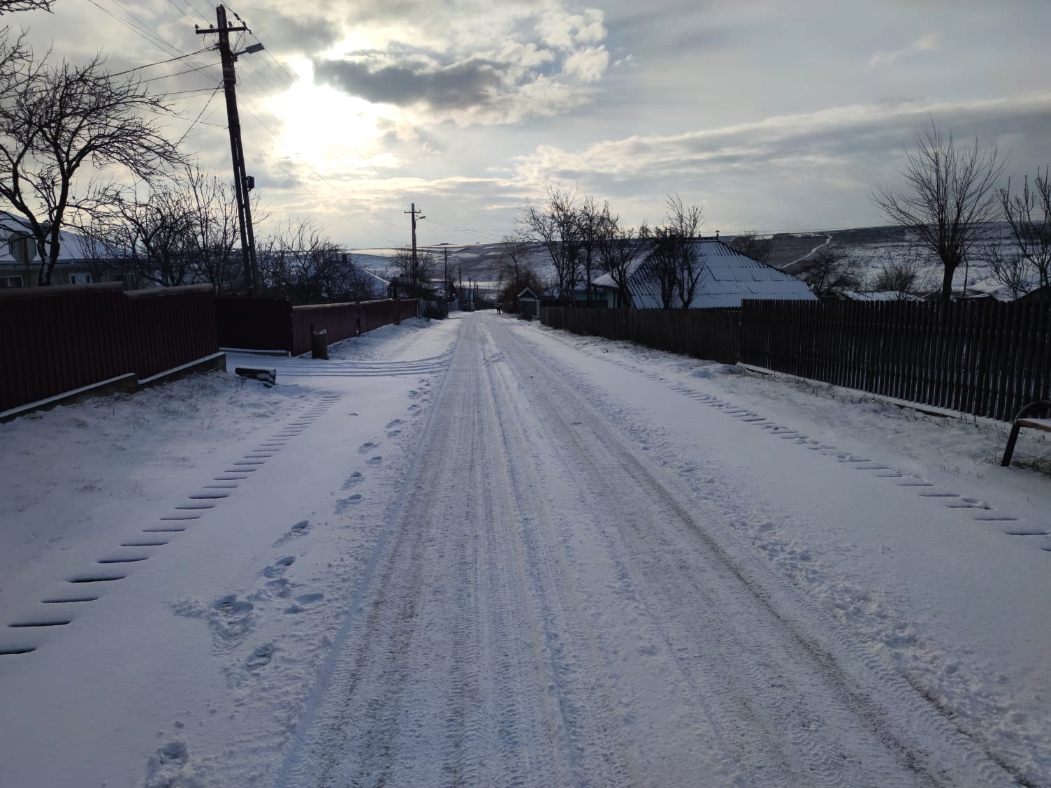 Poza zilei 14 ianuarie 2026