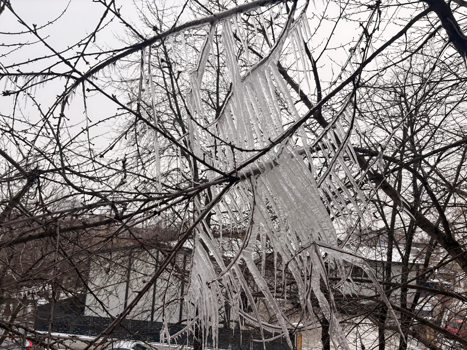 Moldova, sub asediul gerului: Botoșaniul, printre cele mai afectate zone în noaptea de luni spre marți