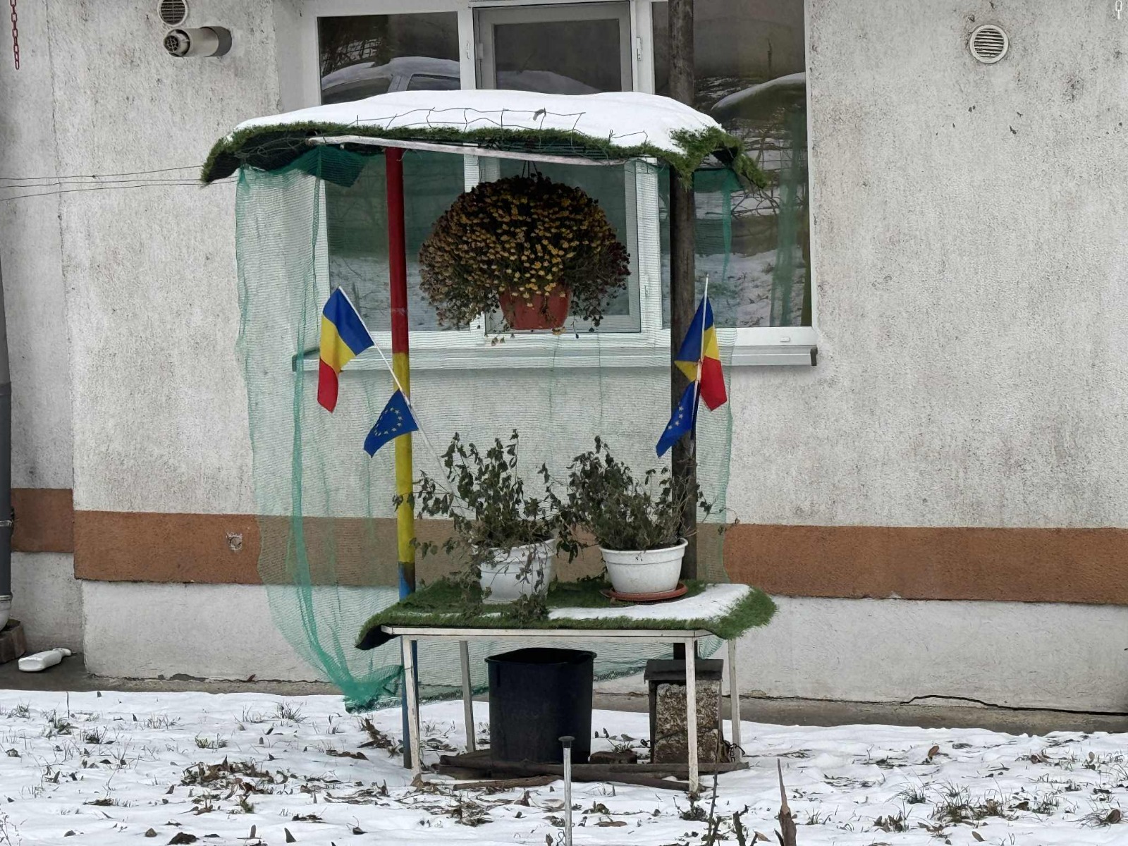 Poza zilei 15 ianuarie 2026