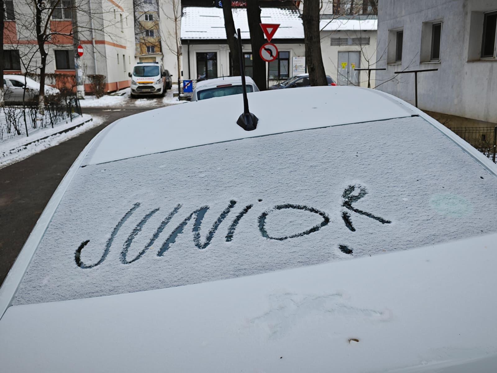 Poza zilei 23 ianuarie 2026