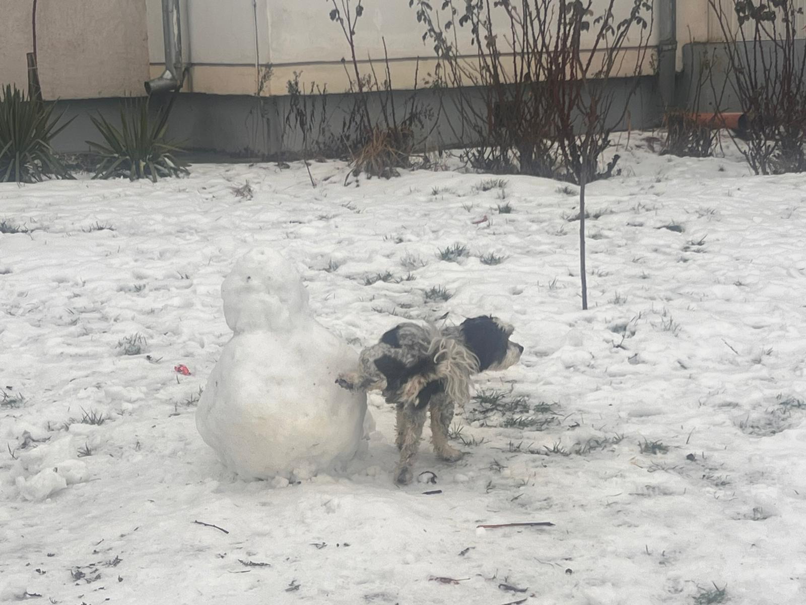 Poza zilei 27 ianuarie 2026