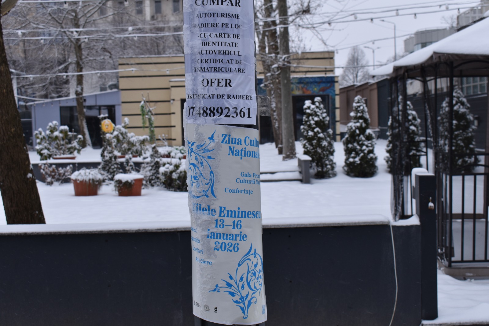 Poza zilei 30 ianuarie 2026