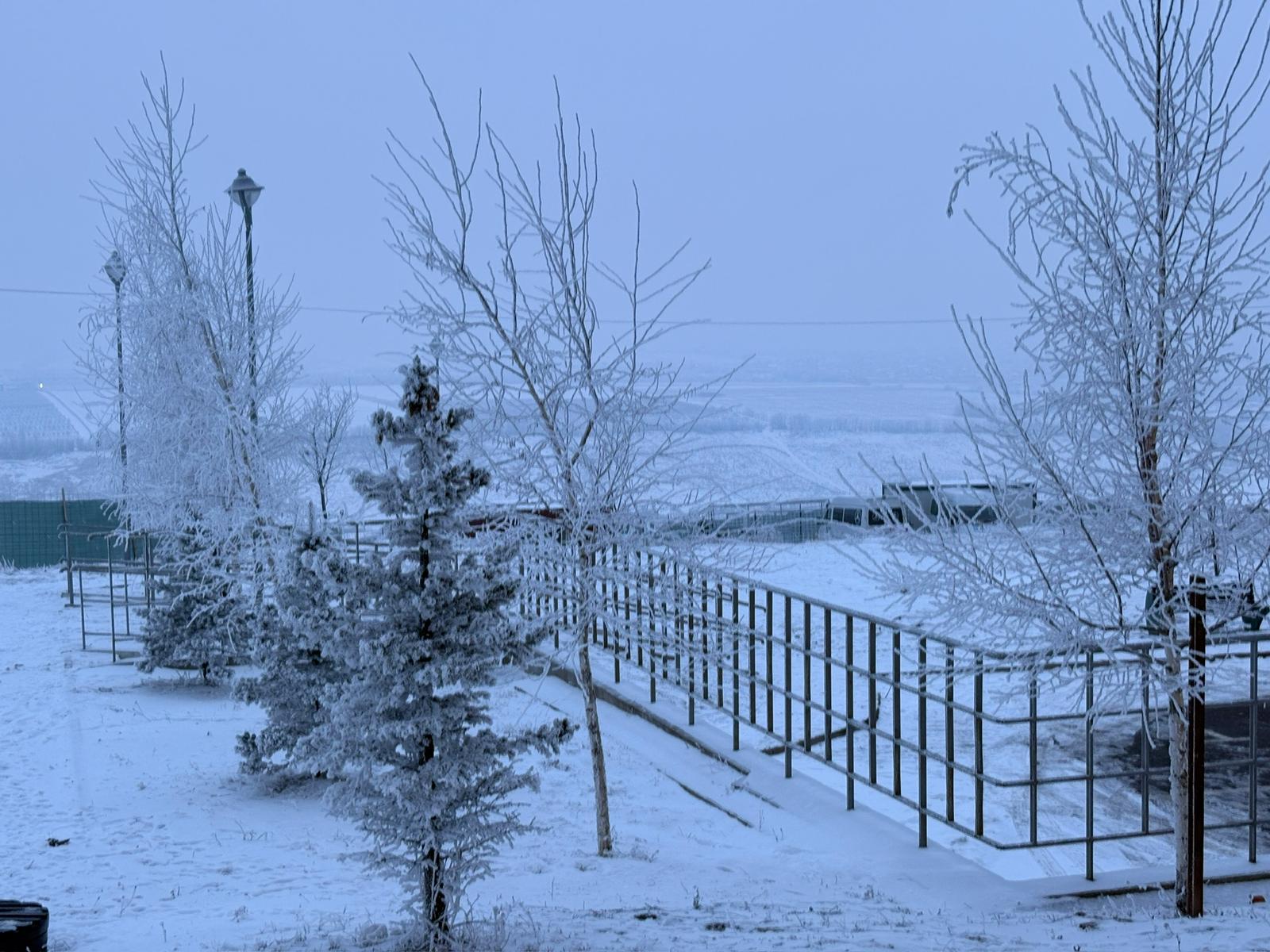 Județul Botoșani sub COD GALBEN de ger: Temperaturi de până la -20 de grade