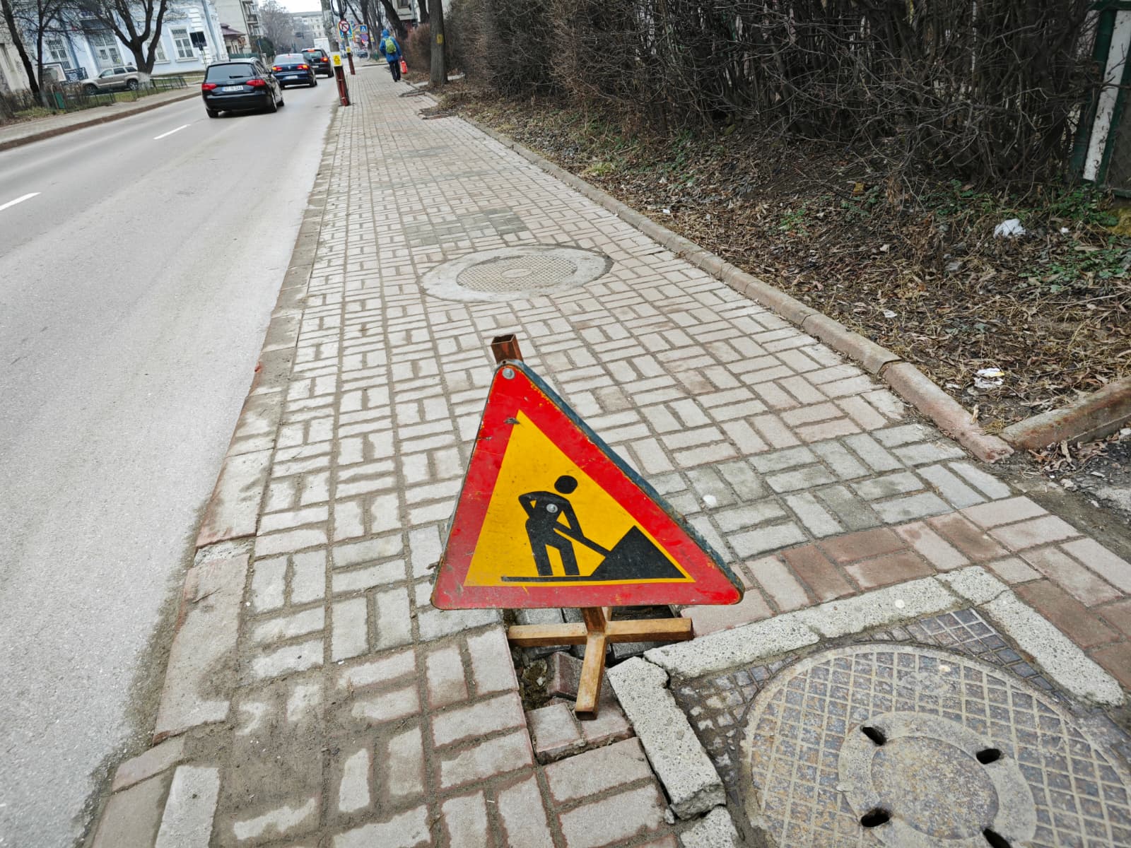 Poza zilei 9 martie 2026