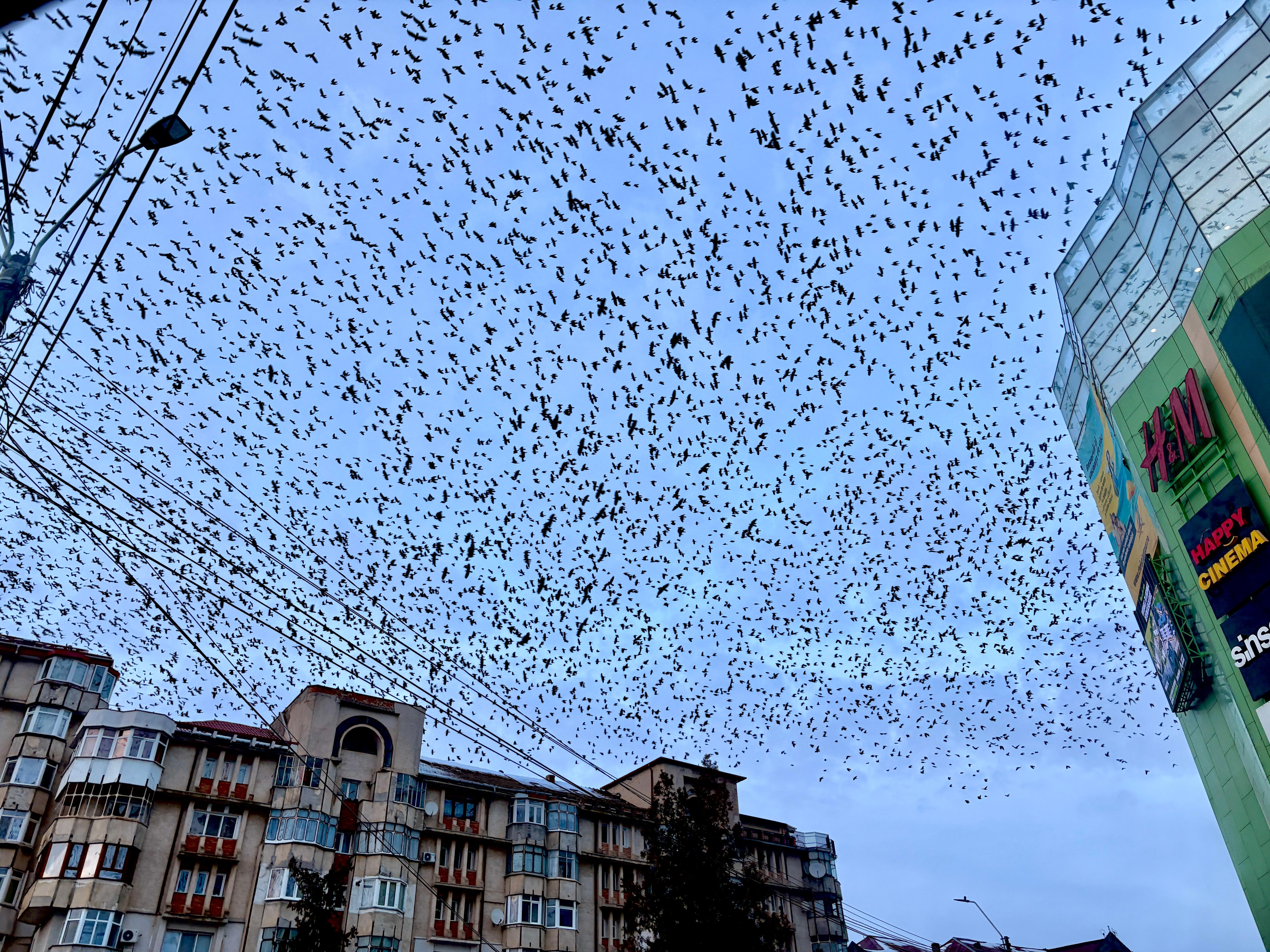 Poza zilei 6 martie 2026