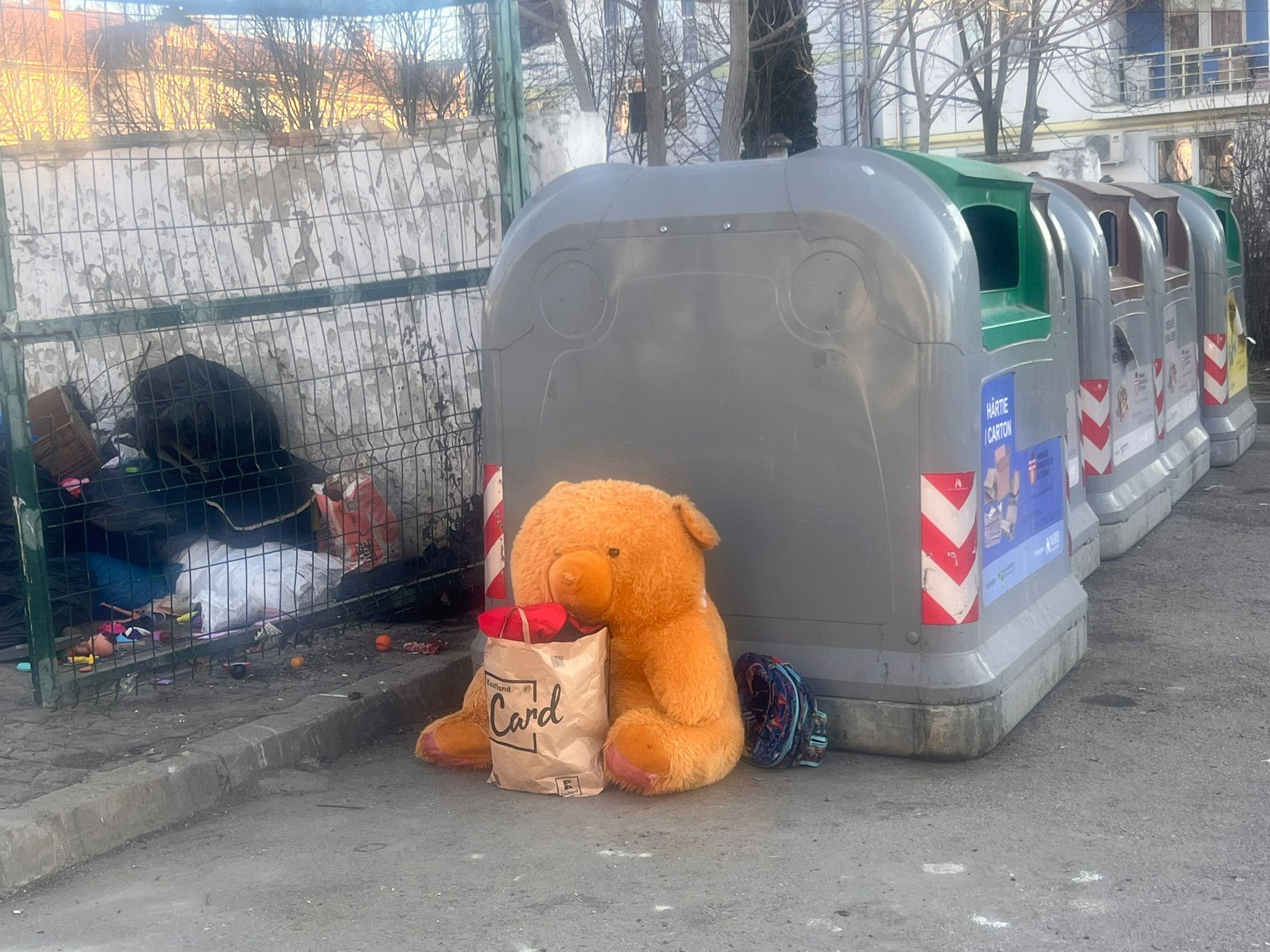 Poza zilei 12 martie 2026