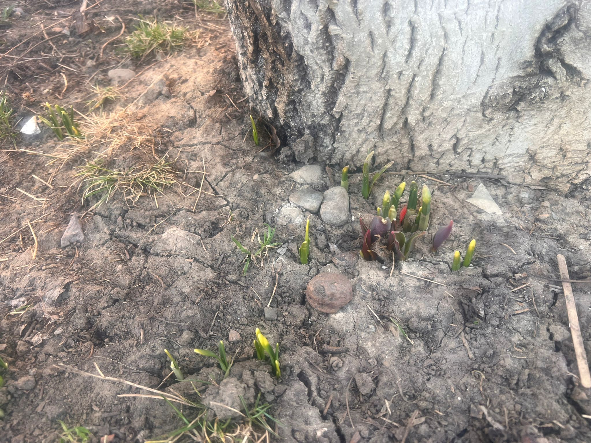 Poza zilei 13 martie 2026