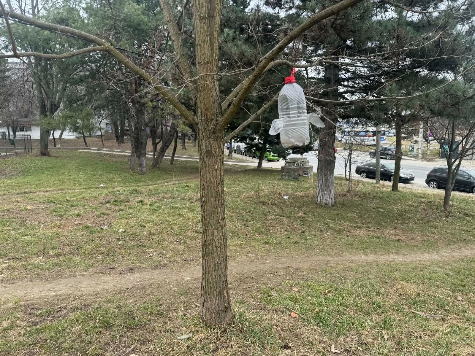 Poza zilei 24 martie 2026