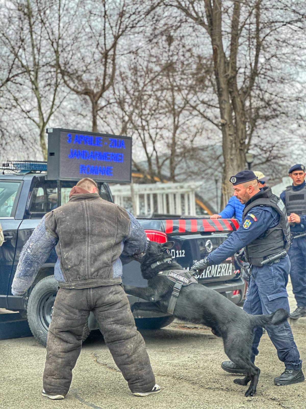 Demonstrații spectaculoase cu câini de serviciu și intervenții antitero la Dorohoi - VIDEO