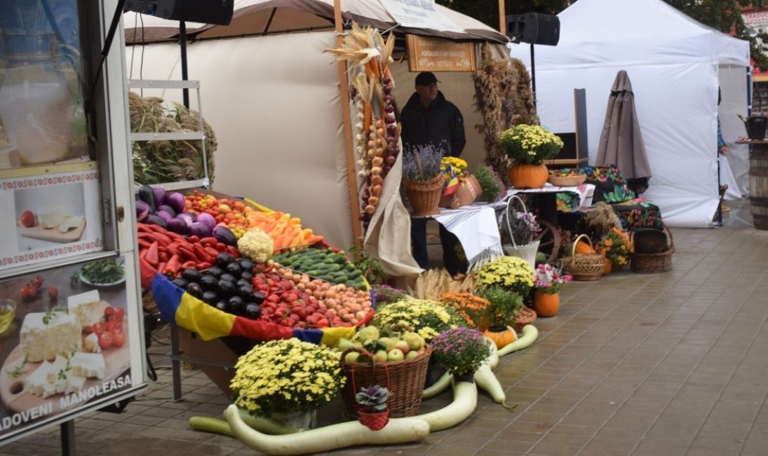 Ziua Recoltei NU va fi organizată la Botoșani, legumicultorii loviți de secetă: Decât să iasă un fiasco...